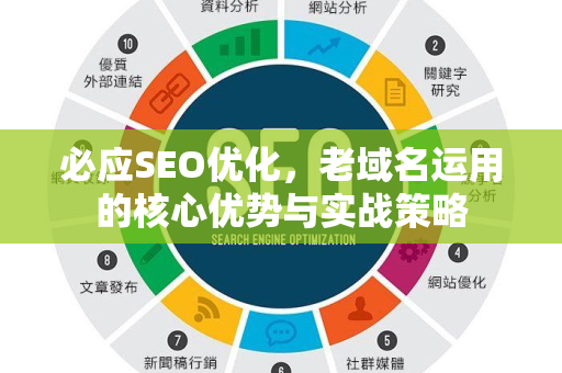 必应SEO优化，老域名运用的核心优势与实战策略-第1张图片-星博讯-专业SEO_网站优化技巧_搜索引擎排名提升