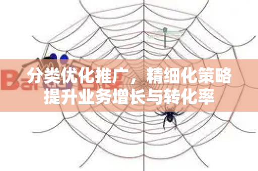 分类优化推广，精细化策略提升业务增长与转化率-第1张图片-星博讯-专业SEO_网站优化技巧_搜索引擎排名提升