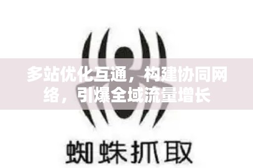 多站优化互通，构建协同网络，引爆全域流量增长-第1张图片-星博讯-专业SEO_网站优化技巧_搜索引擎排名提升