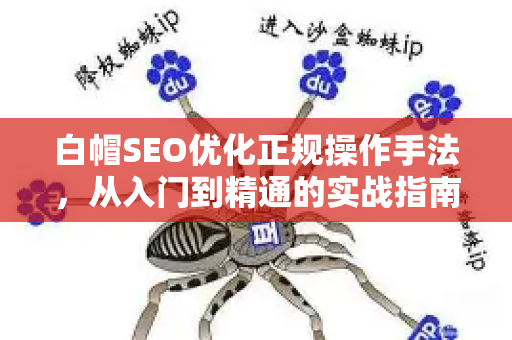 白帽SEO优化正规操作手法，从入门到精通的实战指南