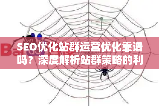 SEO优化站群运营优化靠谱吗？深度解析站群策略的利与弊