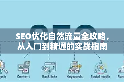 SEO优化自然流量全攻略，从入门到精通的实战指南-第1张图片-星博讯-专业SEO_网站优化技巧_搜索引擎排名提升