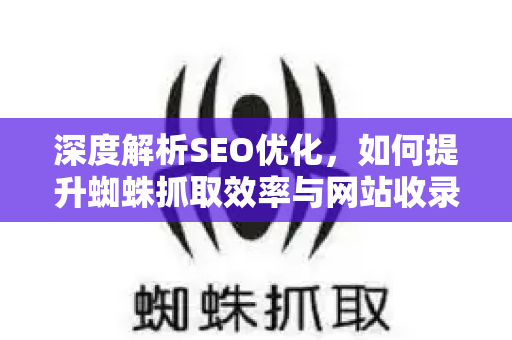 深度解析SEO优化，如何提升蜘蛛抓取效率与网站收录