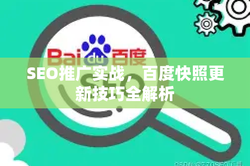 SEO推广实战，百度快照更新技巧全解析