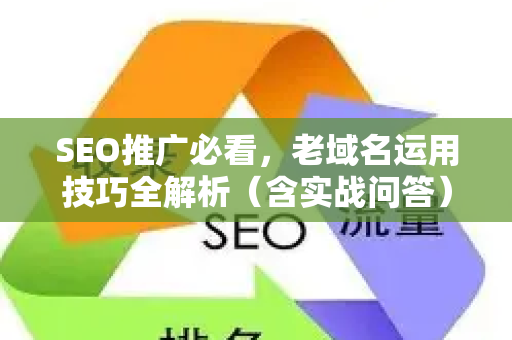 SEO推广必看，老域名运用技巧全解析（含实战问答）