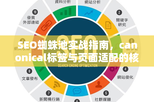 SEO蜘蛛池实战指南，canonical标签与页面适配的核心策略