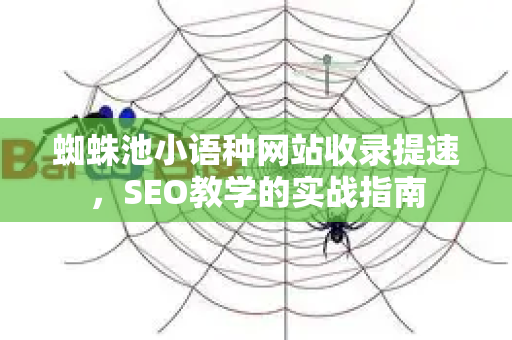 蜘蛛池小语种网站收录提速，SEO教学的实战指南