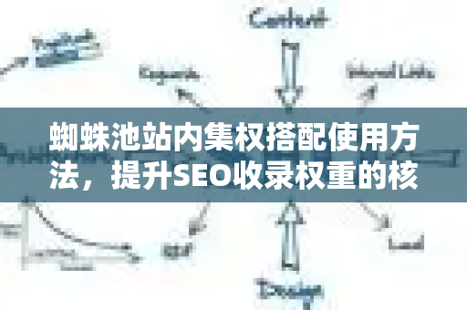 蜘蛛池站内集权搭配使用方法，提升SEO收录权重的核心策略