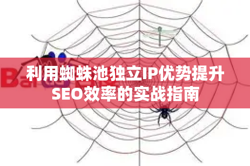 利用蜘蛛池独立IP优势提升SEO效率的实战指南