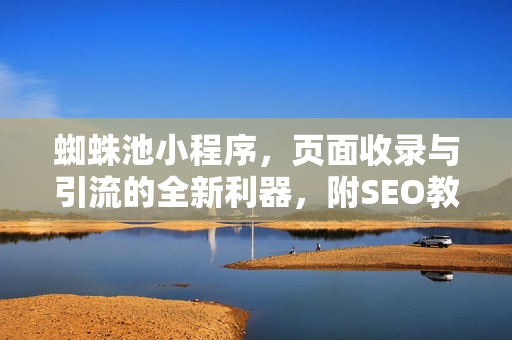 蜘蛛池小程序，页面收录与引流的全新利器，附SEO教学实战解析