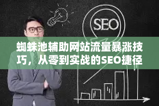 蜘蛛池辅助网站流量暴涨技巧，从零到实战的SEO捷径