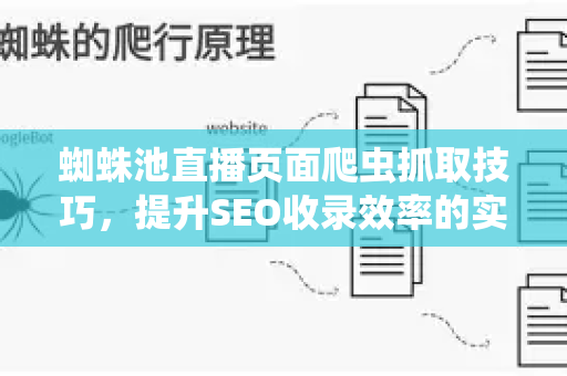 蜘蛛池直播页面爬虫抓取技巧，提升SEO收录效率的实战指南