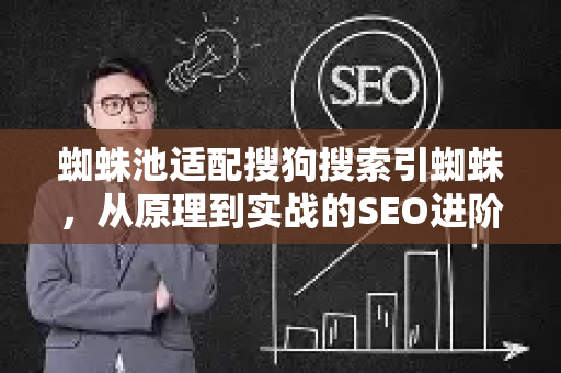 蜘蛛池适配搜狗搜索引蜘蛛，从原理到实战的SEO进阶指南