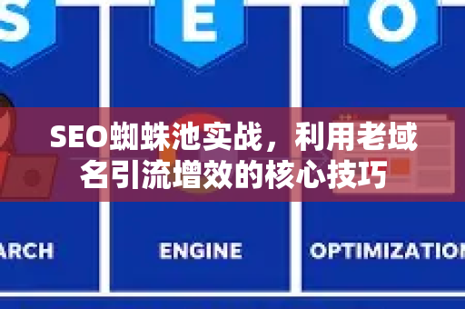 SEO蜘蛛池实战，利用老域名引流增效的核心技巧