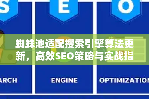 蜘蛛池适配搜索引擎算法更新，高效SEO策略与实战指南