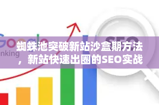 蜘蛛池突破新站沙盒期方法，新站快速出圈的SEO实战秘籍