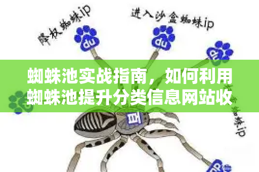 蜘蛛池实战指南，如何利用蜘蛛池提升分类信息网站收录效率