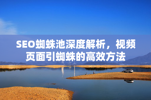 SEO蜘蛛池深度解析，视频页面引蜘蛛的高效方法