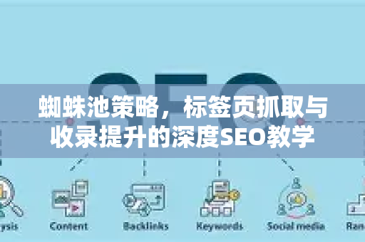 蜘蛛池策略，标签页抓取与收录提升的深度SEO教学