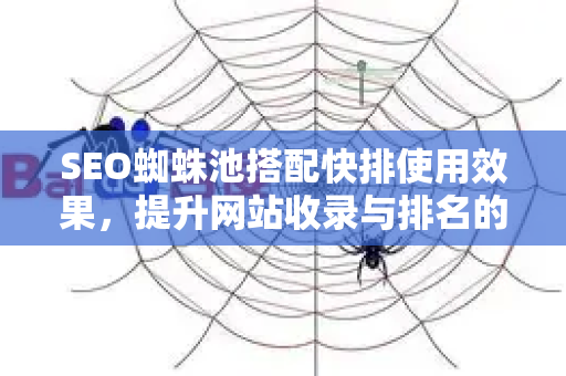 SEO蜘蛛池搭配快排使用效果，提升网站收录与排名的实战策略
