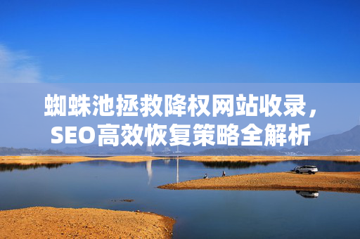 蜘蛛池拯救降权网站收录，SEO高效恢复策略全解析