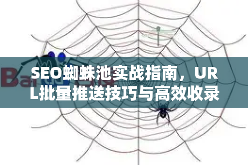 SEO蜘蛛池实战指南，URL批量推送技巧与高效收录策略