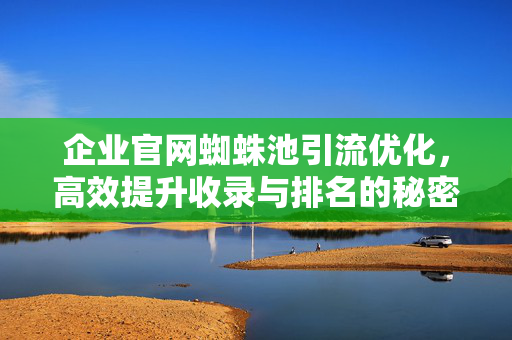 企业官网蜘蛛池引流优化，高效提升收录与排名的秘密武器