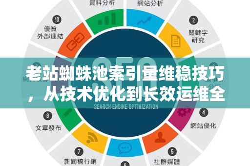 老站蜘蛛池索引量维稳技巧，从技术优化到长效运维全攻略