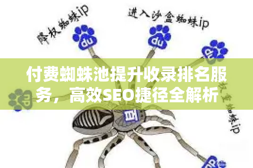 付费蜘蛛池提升收录排名服务，高效SEO捷径全解析