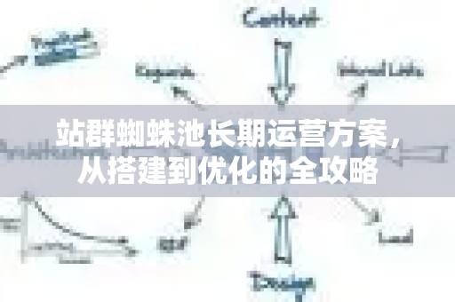 站群蜘蛛池长期运营方案，从搭建到优化的全攻略