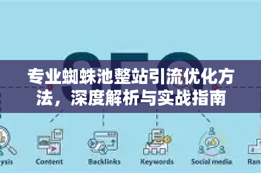 专业蜘蛛池整站引流优化方法，深度解析与实战指南