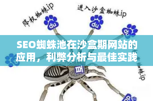 SEO蜘蛛池在沙盒期网站的应用，利弊分析与最佳实践