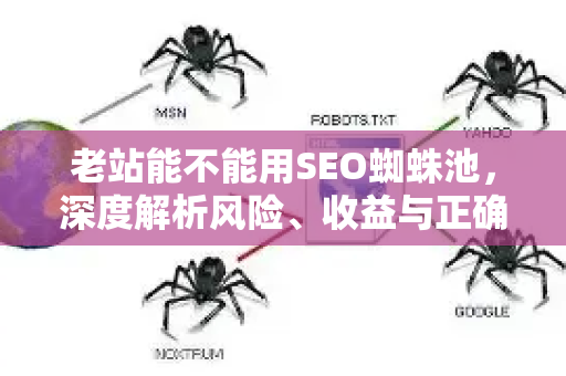 老站能不能用SEO蜘蛛池，深度解析风险、收益与正确操作路径