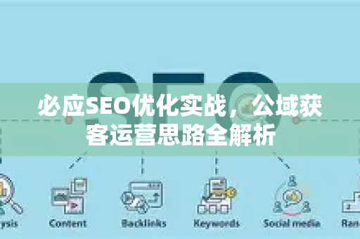 必应SEO优化实战，公域获客运营思路全解析-第1张图片-星博讯-专业SEO_网站优化技巧_搜索引擎排名提升