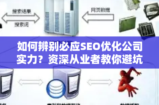 如何辨别必应SEO优化公司实力？资深从业者教你避坑指南-第1张图片-星博讯-专业SEO_网站优化技巧_搜索引擎排名提升