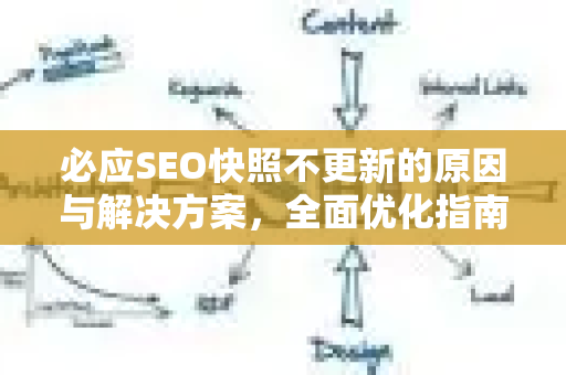 必应SEO快照不更新的原因与解决方案，全面优化指南