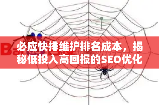 必应快排维护排名成本，揭秘低投入高回报的SEO优化核心策略