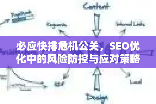 必应快排危机公关，SEO优化中的风险防控与应对策略