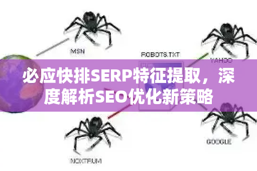 必应快排SERP特征提取，深度解析SEO优化新策略