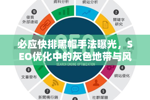必应快排黑帽手法曝光，SEO优化中的灰色地带与风险警示