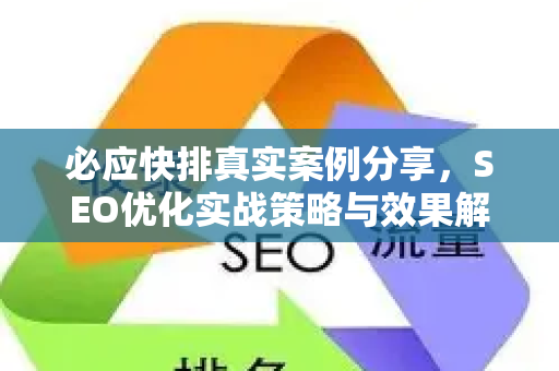 必应快排真实案例分享，SEO优化实战策略与效果解析