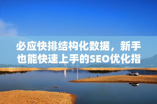 必应快排结构化数据，新手也能快速上手的SEO优化指南