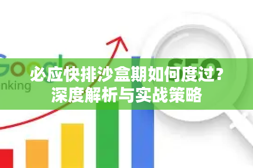 必应快排沙盒期如何度过？深度解析与实战策略