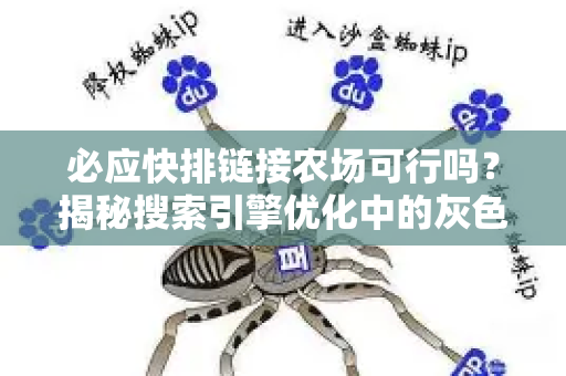 必应快排链接农场可行吗？揭秘搜索引擎优化中的灰色地带与正确路径