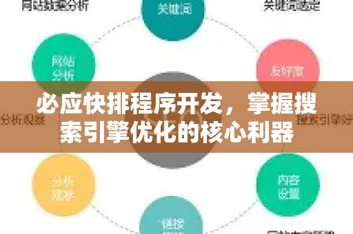 必应快排程序开发，掌握搜索引擎优化的核心利器