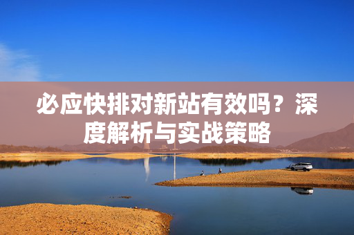 必应快排对新站有效吗？深度解析与实战策略