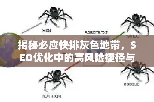 揭秘必应快排灰色地带，SEO优化中的高风险捷径与合规之道