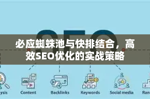 必应蜘蛛池与快排结合，高效SEO优化的实战策略