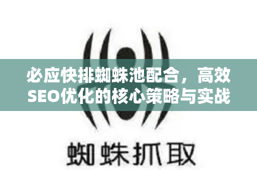 必应快排蜘蛛池配合，高效SEO优化的核心策略与实战指南