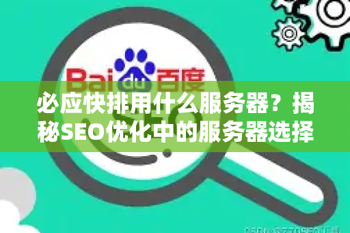必应快排用什么服务器？揭秘SEO优化中的服务器选择核心策略